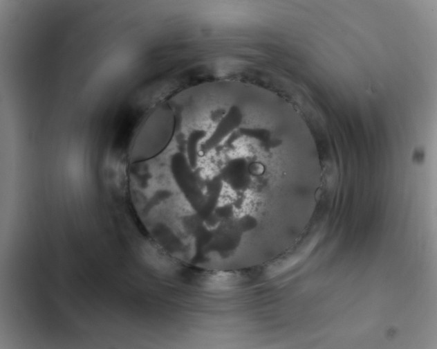 X0000102480527200808221710