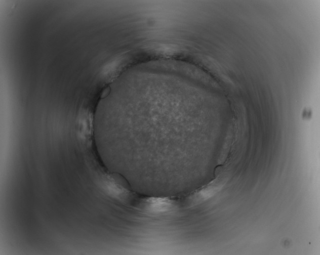 X0000102480528200808221710