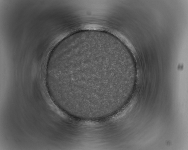 X0000102480529200808221709