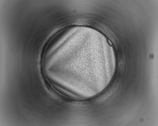 X0000102480530200808221709