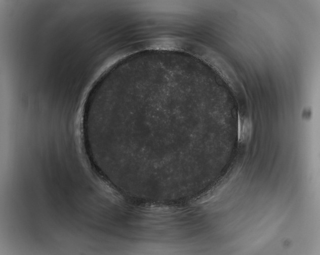 X0000102480531200808221709