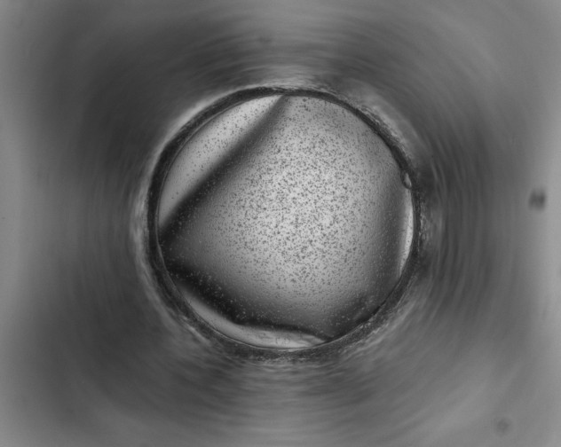 X0000102480532200808221709