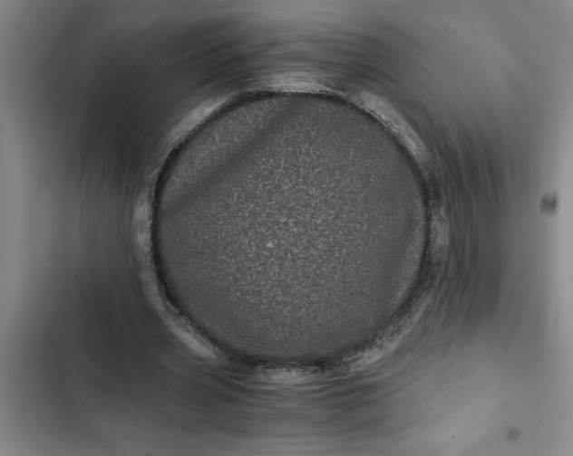 X0000102480533200808221709