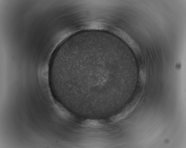 X0000102480534200808221709