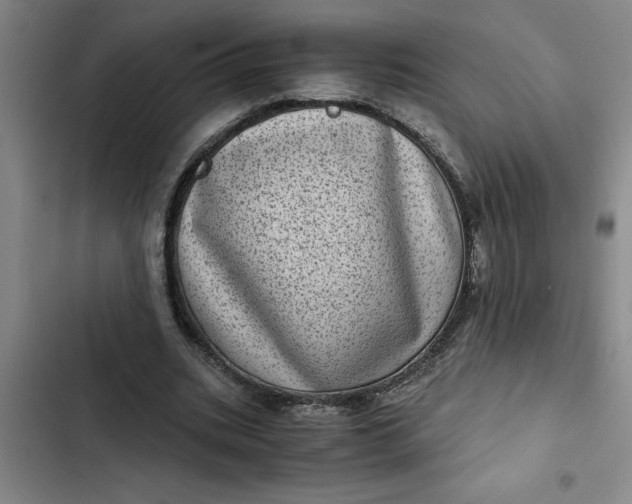 X0000102480535200808221709