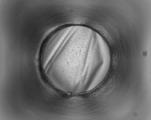 X0000102480536200808221709