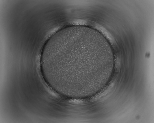 X0000102480537200808221709