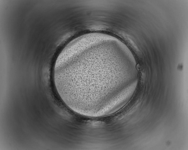 X0000102480539200808221709