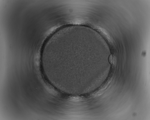 X0000102480540200808221709