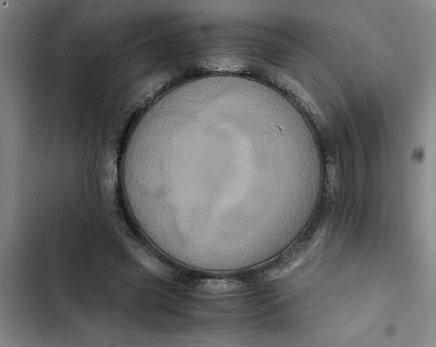 X0000102480541200808221709