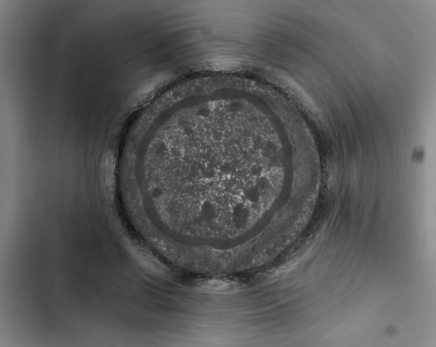 X0000102480542200808221709