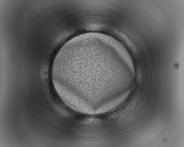 X0000102480543200808221709