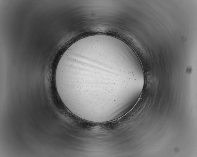 X0000102480544200808221709