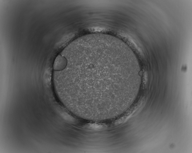 X0000102480545200808221709