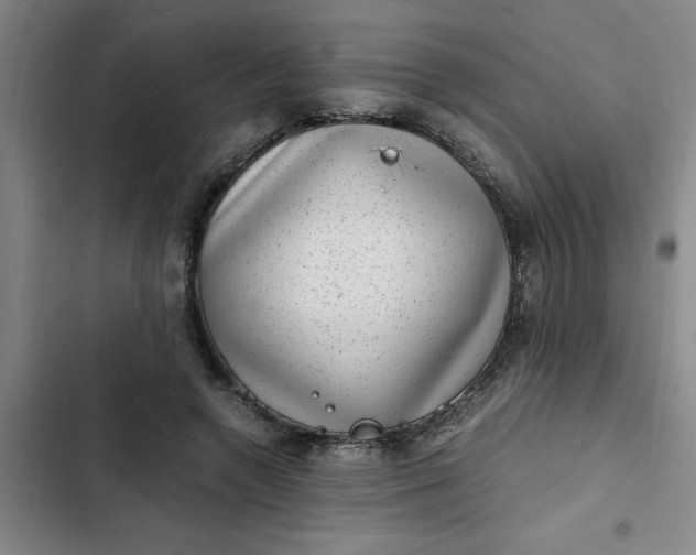 X0000102480546200808221709