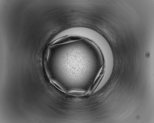 X0000102480547200808221709