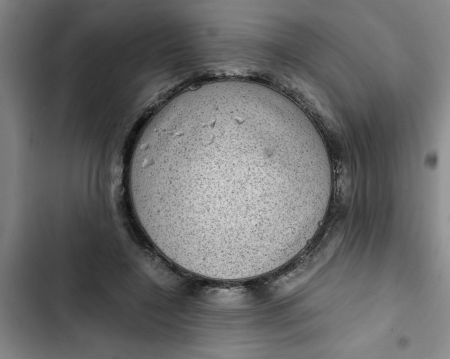 X0000102480548200808221709