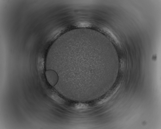 X0000102480549200808221709