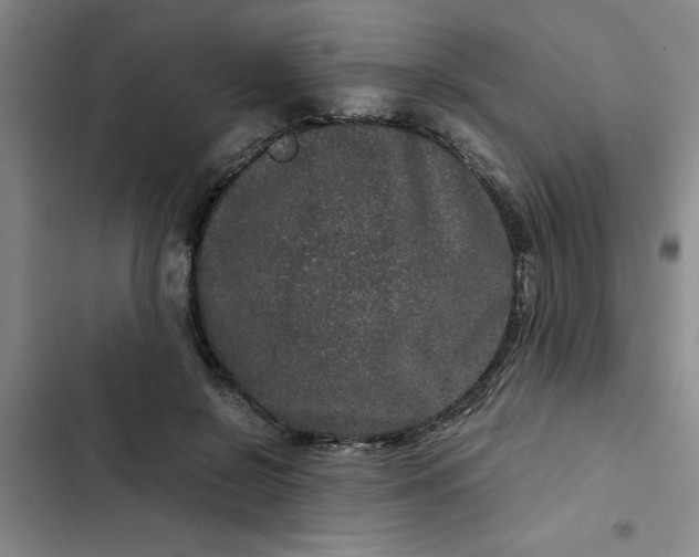 X0000102480550200808221709