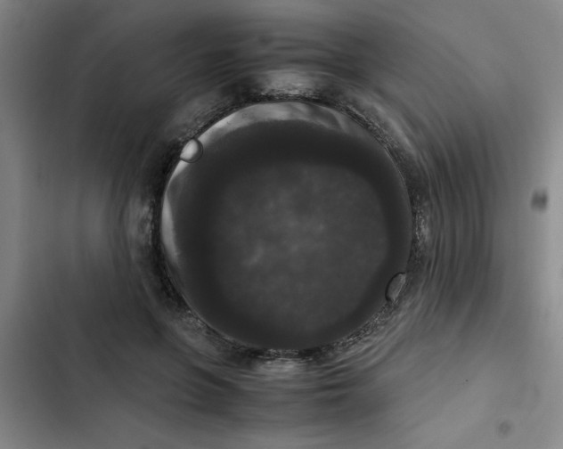 X0000102480551200808221709