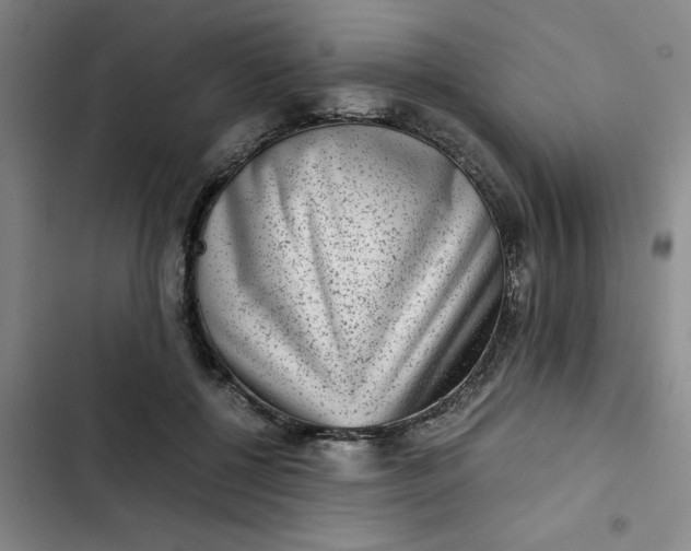 X0000102480552200808221709