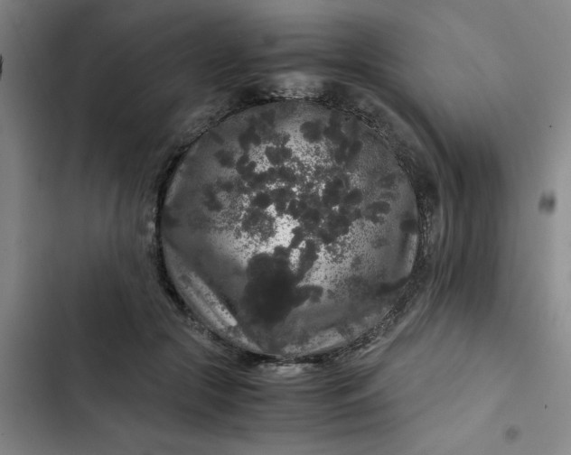 X0000102480553200808221709