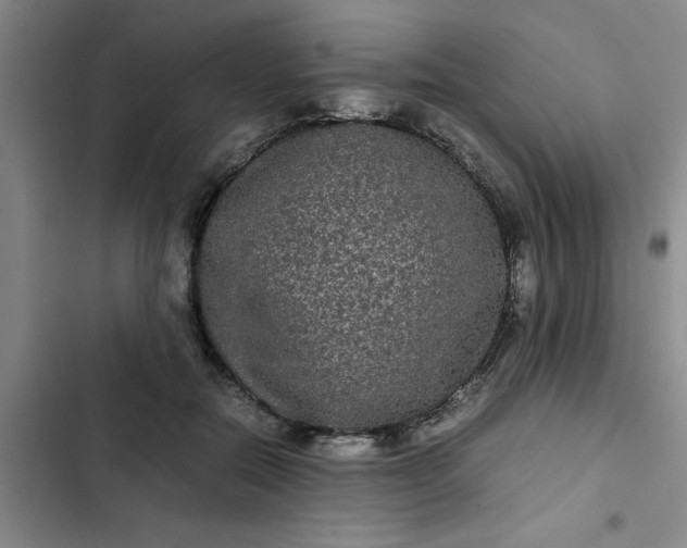 X0000102480554200808221709