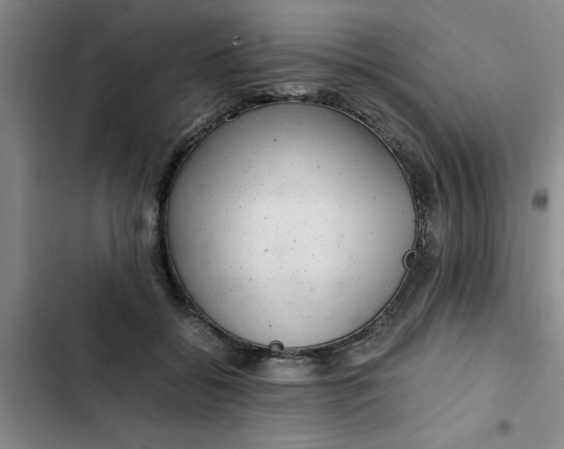 X0000102480556200808221709