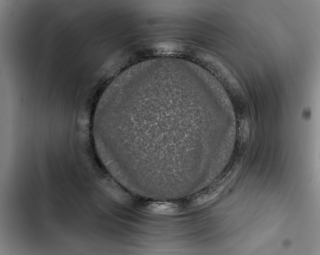 X0000102480557200808221709