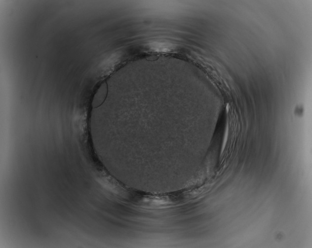 X0000102480559200808221709