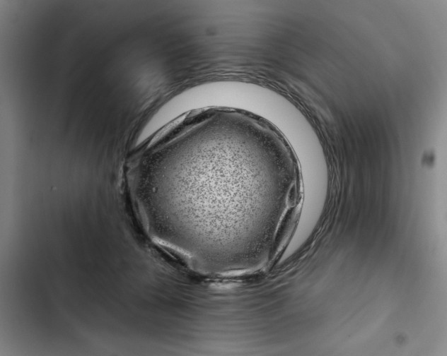 X0000102480560200808221709