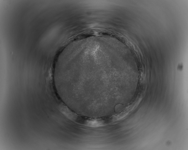 X0000102480561200808221709