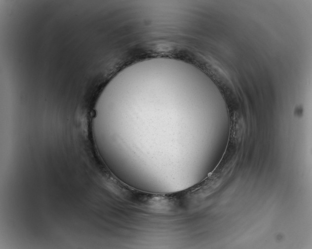 X0000102480562200808221709