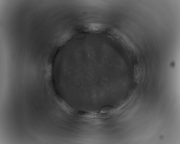 X0000102480563200808221709