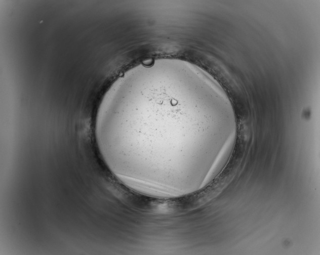 X0000102480564200808221710