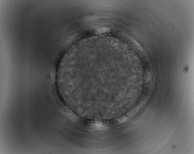 X0000102480565200808221710