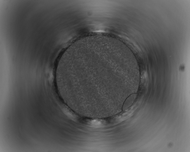 X0000102480566200808221710