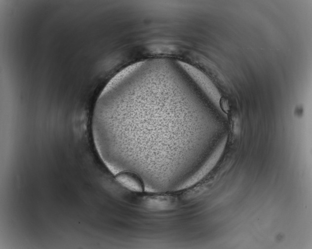 X0000102480567200808221710