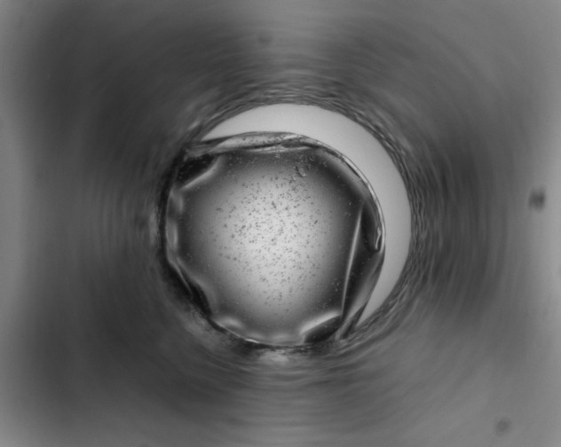 X0000102480568200808221710