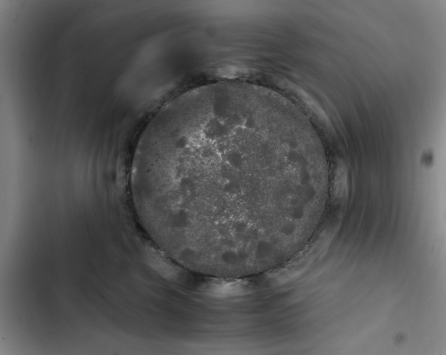 X0000102480569200808221710