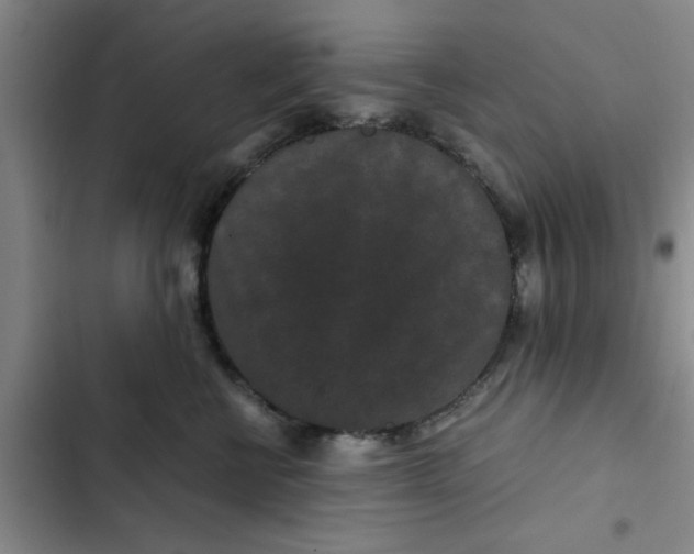 X0000102480570200808221710