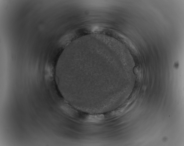 X0000102480571200808221710