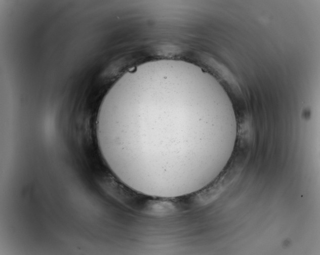 X0000102480572200808221710