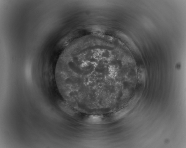 X0000102480573200808221710