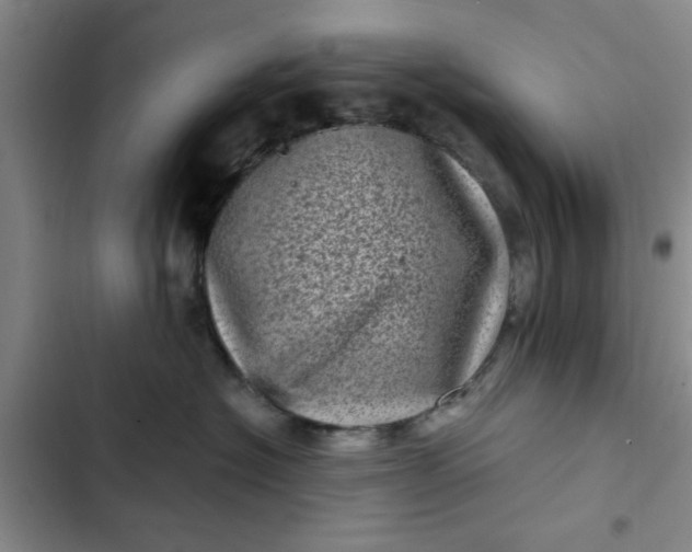 X0000102480574200808221710