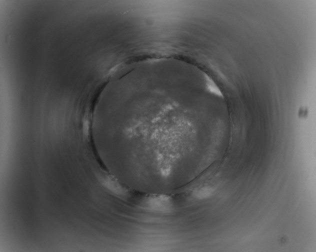 X0000102480576200808221710