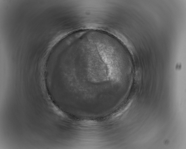 X0000102480577200808221709