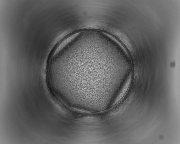 X0000102480578200808221709