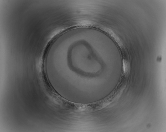 X0000102480579200808221709