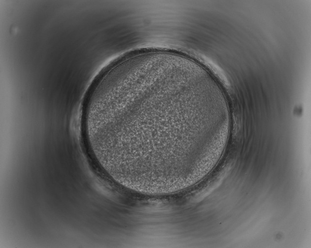 X0000102480580200808221709